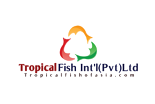 Tropical Fish International (pvt) Ltd